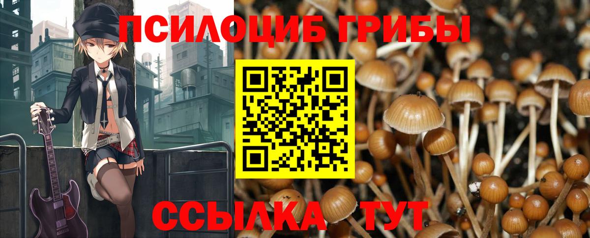 Псилоцибиновые грибы прущие грибы Новодвинск