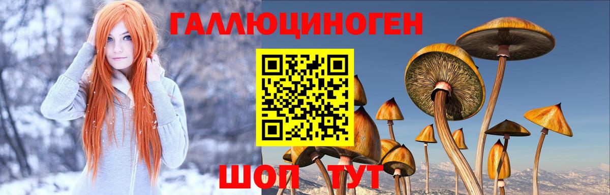 Псилоцибиновые грибы Psilocybe  Вход с VPN  купить наркотик  Новодвинск 
